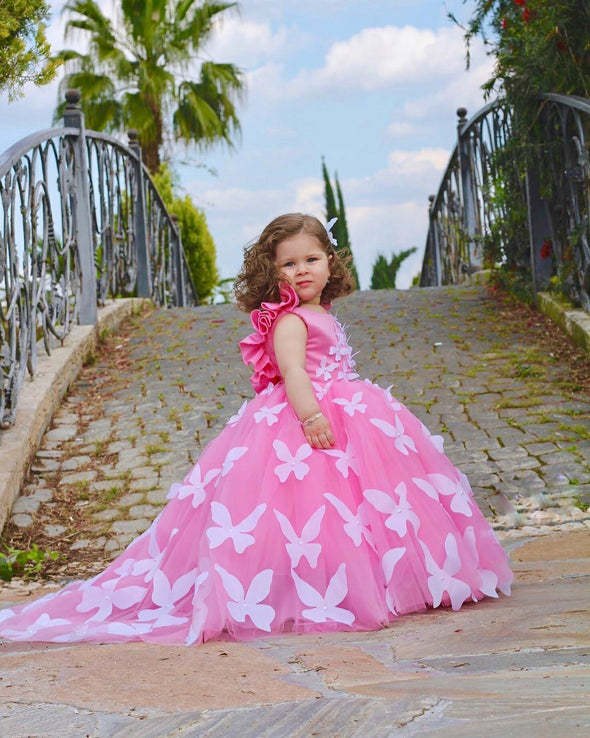 Butterfly Princess Dress